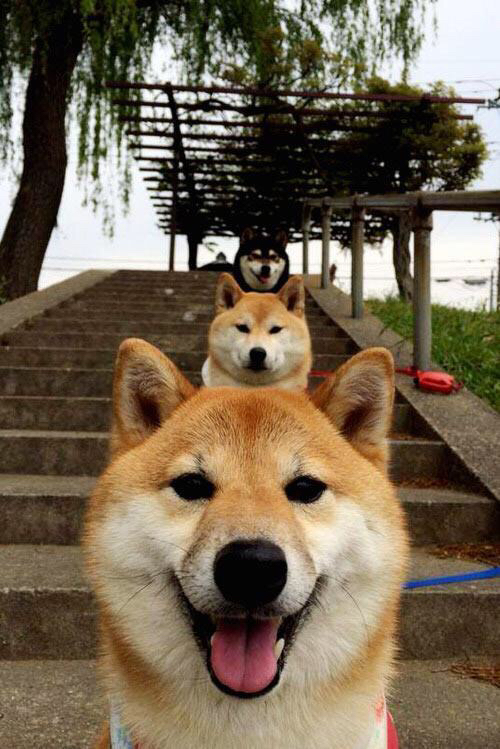 九游-_软件引擎的智能体操：科技赋能全民健身_，智能体能训练系统