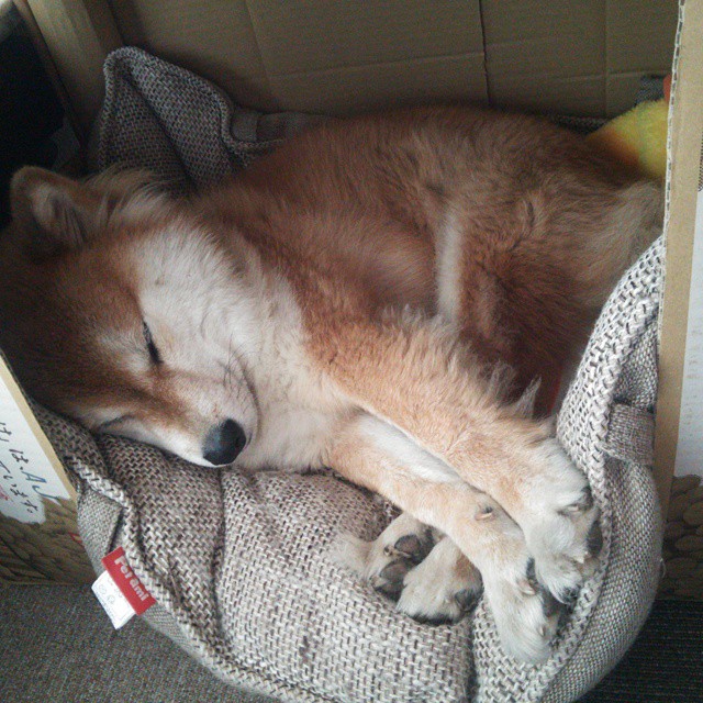 JIU YOU GAME-“智能未来：自动驾驶引领速度新体验”，自动驾驶造未来阅读答案