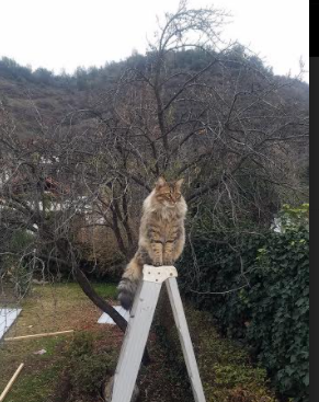 “梦想启航”青少年篮球夏令营在湖南火热进行中,2020年湖南青少年篮球锦标赛